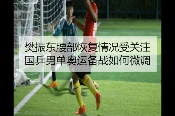 樊振东腰部恢复情况受关注 国乒男单奥运备战如何微调